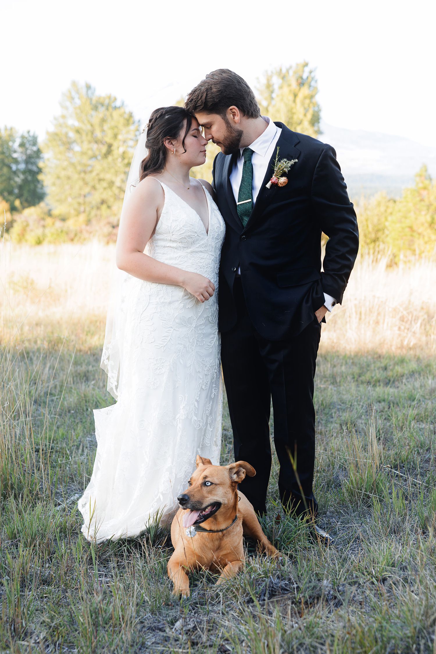 Bride and groom share a romantic moment in a field with their brown dog at a rustic outdoor wedding ceremony.