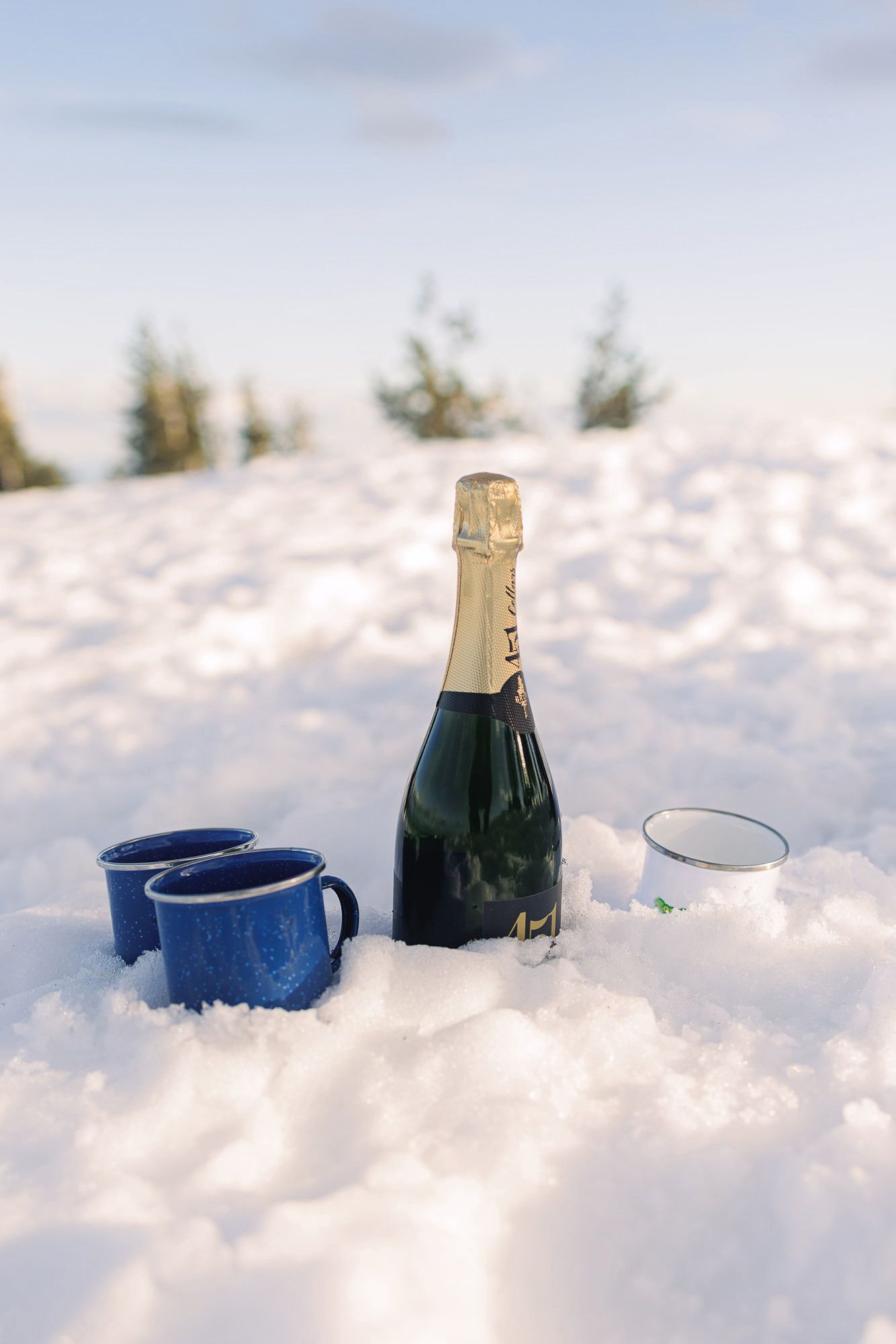 Champagne bottle and blue enamel mugs nestled in snow with evergreen trees in background on sunny winter day.