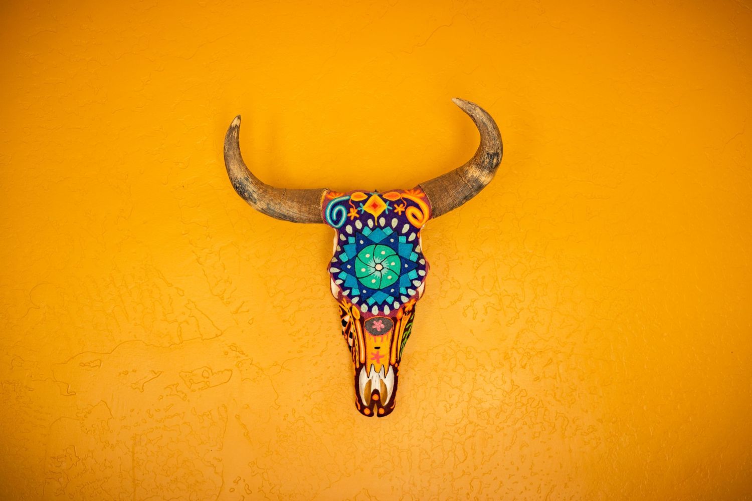 Decorative bull skull with turquoise mandala pattern mounted on bright orange wall.
