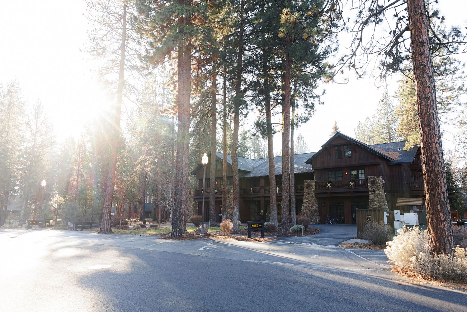 A snowy forest path leads to a rustic cabin nestled among tall pine trees on a bright winter morning.