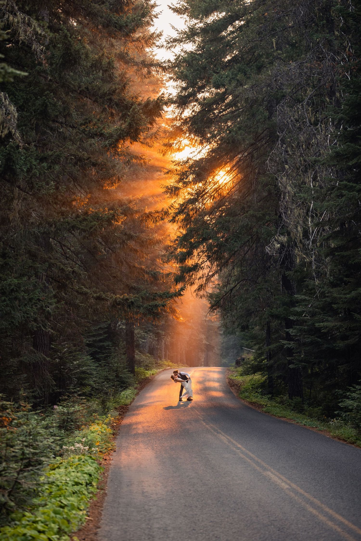 A skateboarder rides down a misty forest road at sunset as golden light streams through towering evergreen trees.