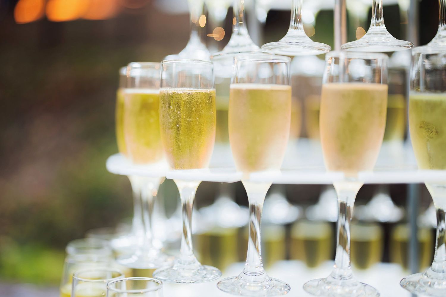 Rows of elegant champagne flutes filled with sparkling wine create a festive display at an event.