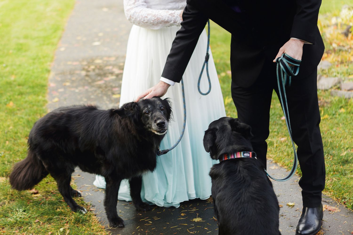 A black dog in a wedding party stands next to a person wearing a white dress on a grassy lawn.