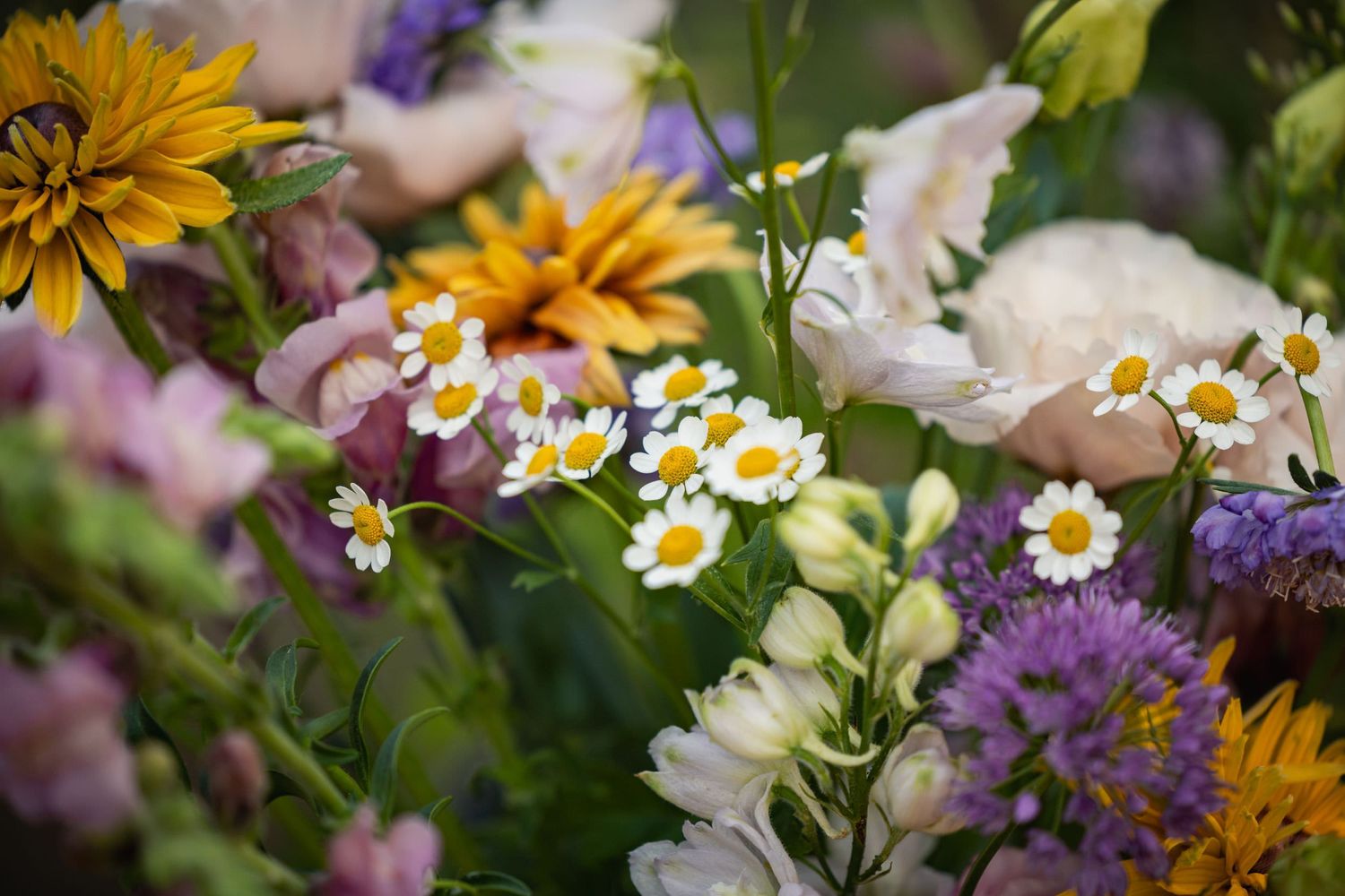Colorful summer garden bouquet with yellow sunflowers, white daisies, and purple wildflowers in soft focus.