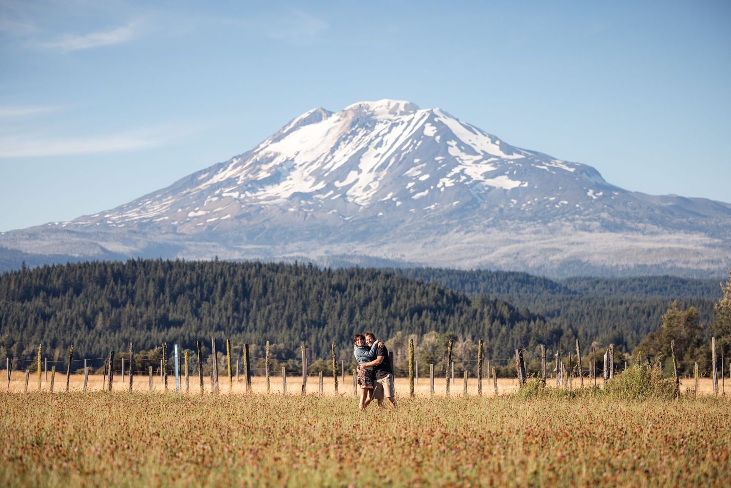 A person stands in a golden field with Mount Adams rising majestically in the background on a clear day in Washington state.