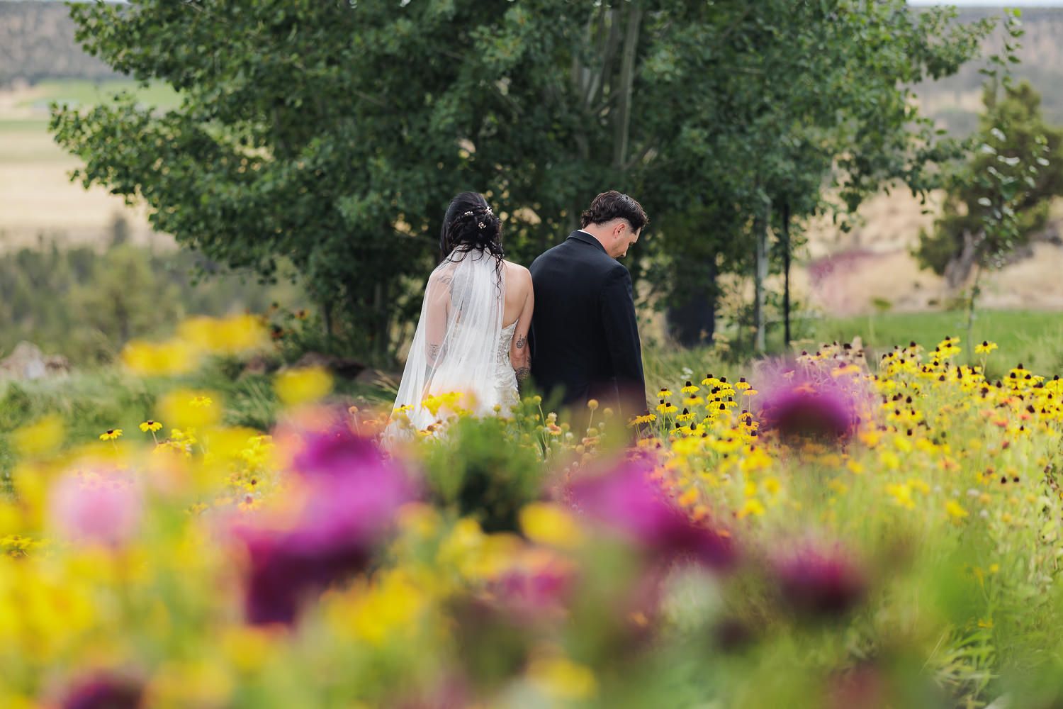 A field of vibrant wildflowers with yellow cosmos and purple blooms stretches into the distance on a sunny day.