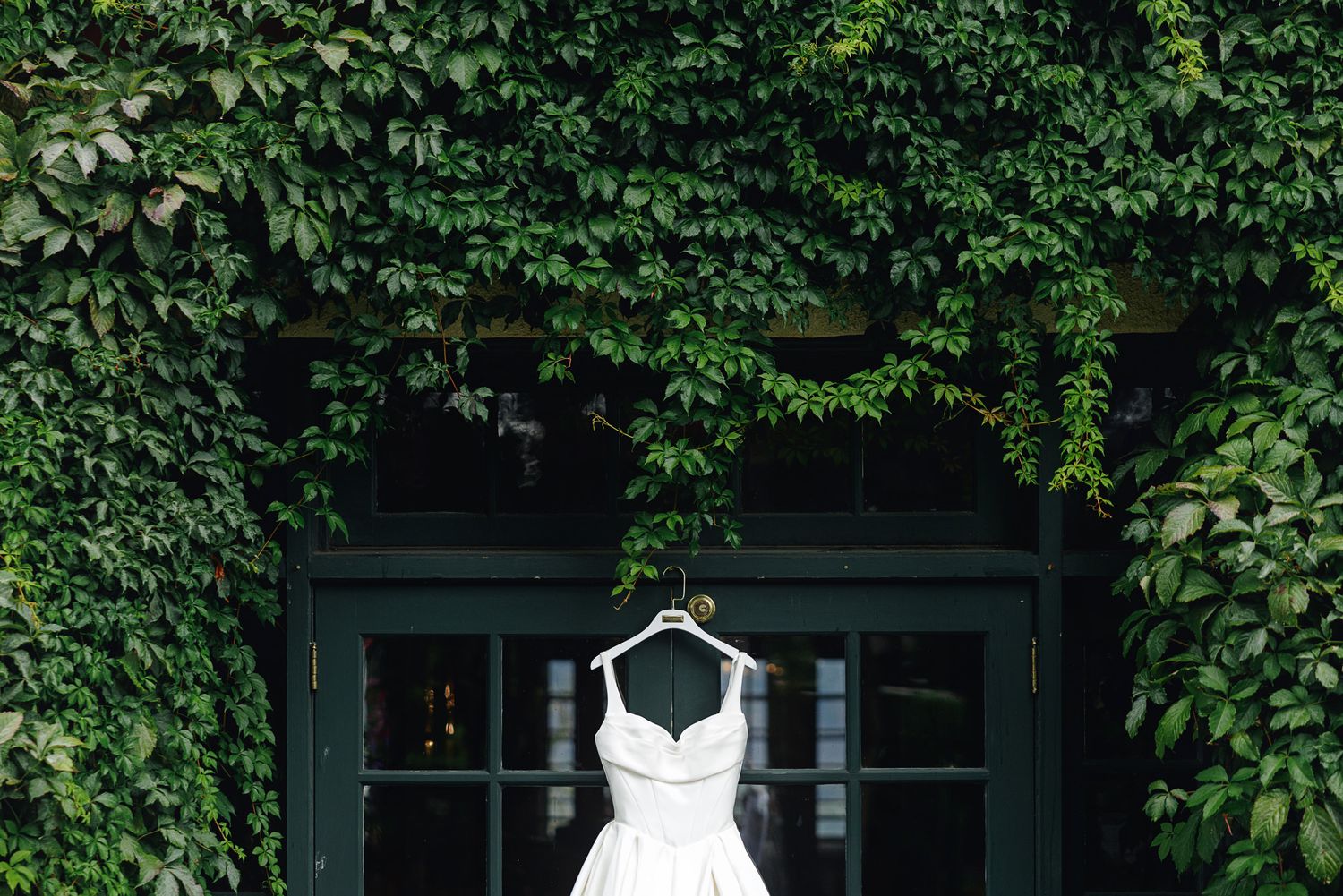 White wedding dress hanging on a hanger against a lush green ivy-covered wall with dark green windows.