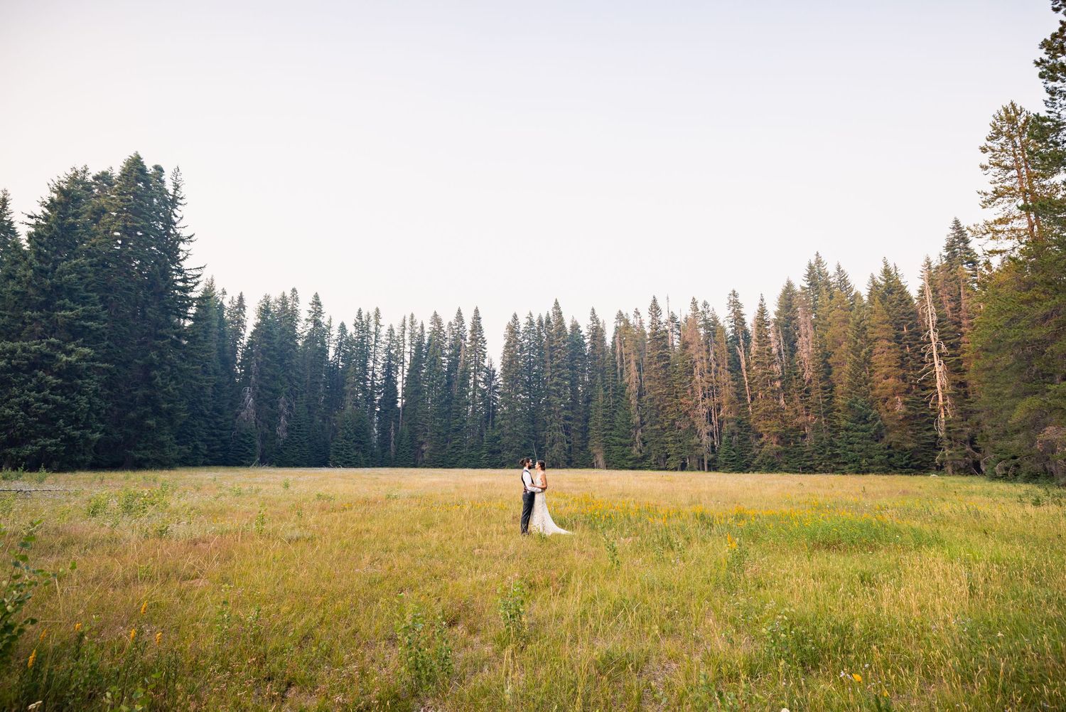 A couple stands together in a golden meadow surrounded by evergreen forest during sunset.