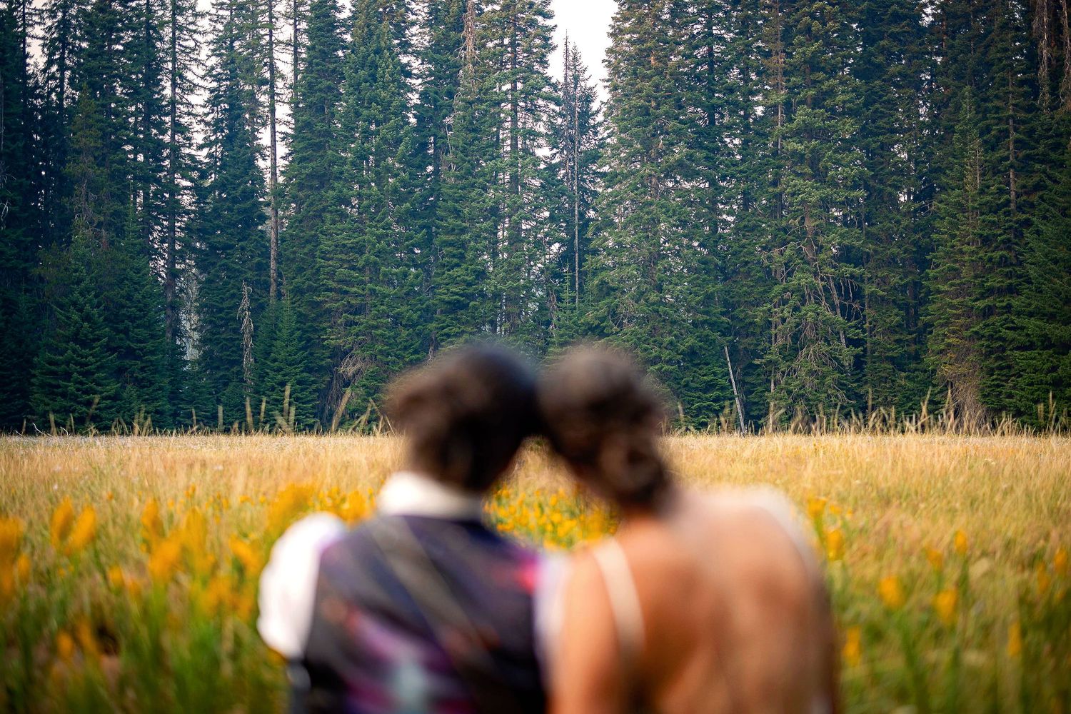 A couple sits together in a golden field surrounded by tall evergreen trees.