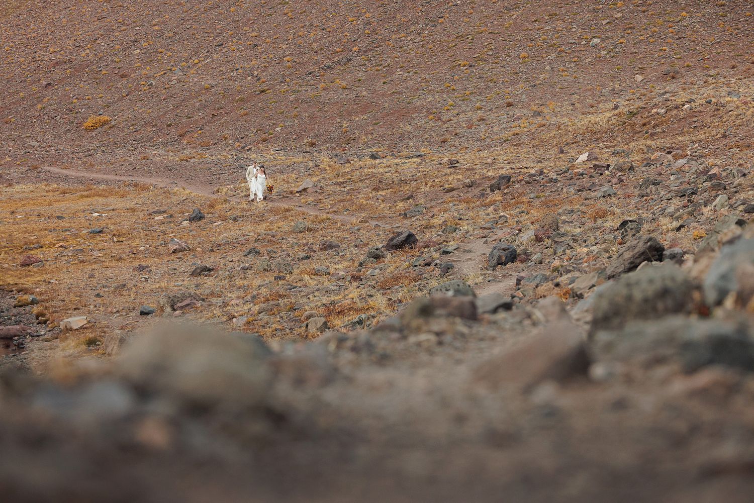A small white animal stands alone on a barren, rocky mountain slope with reddish-brown soil and scattered stones in the foreground.