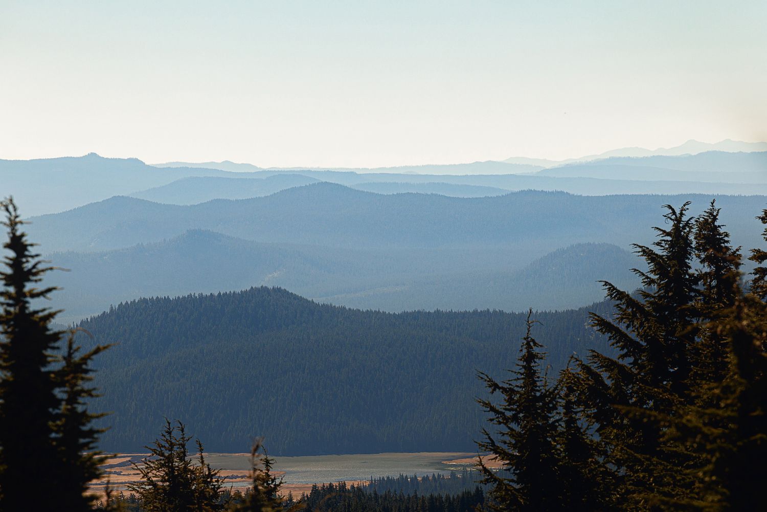 Layers of hazy blue mountain ridges stretch toward the horizon beyond a forested valley framed by dark evergreen trees.