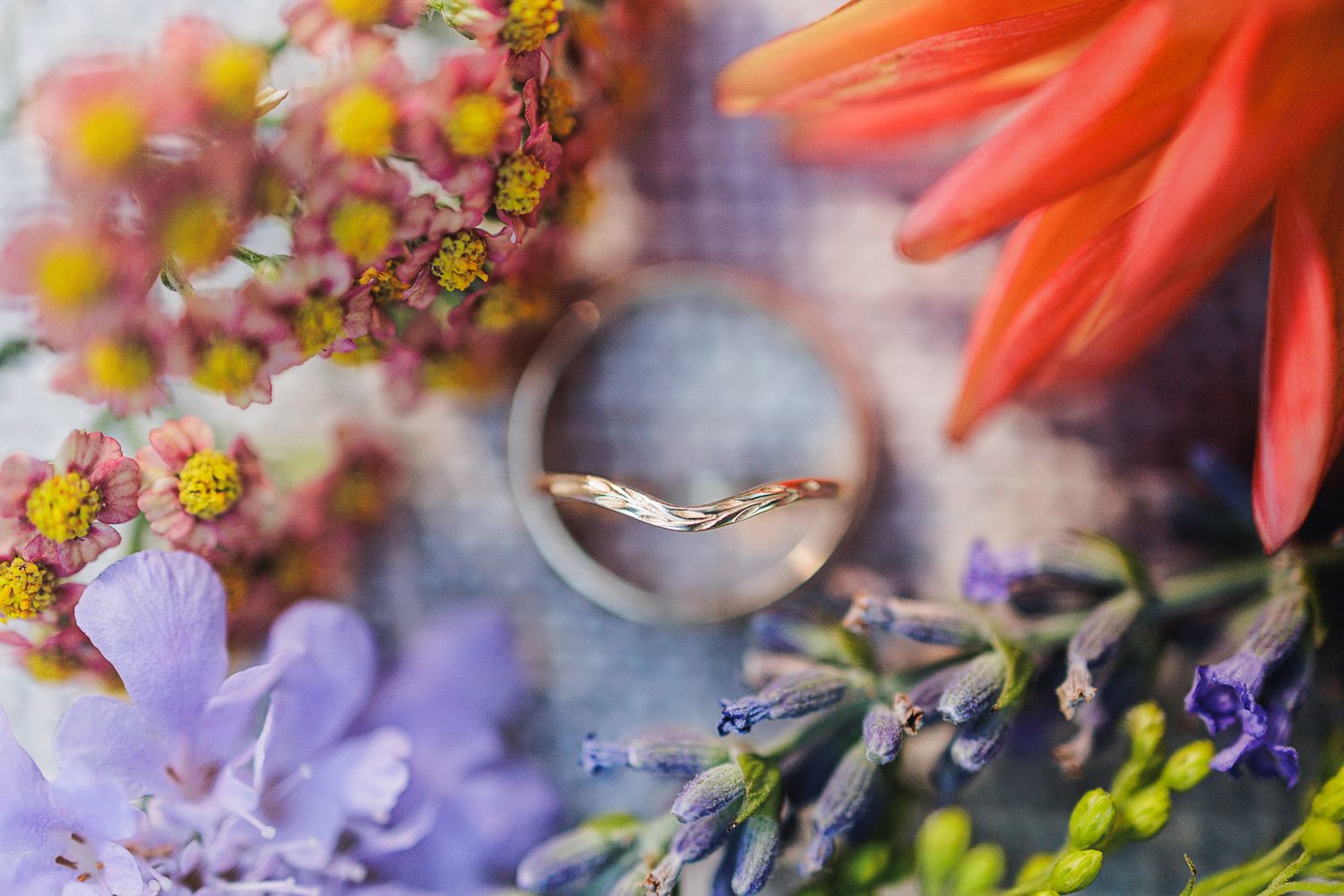 Vibrant red gerbera daisies with delicate yellow blossoms and purple florals create a dreamy garden scene.