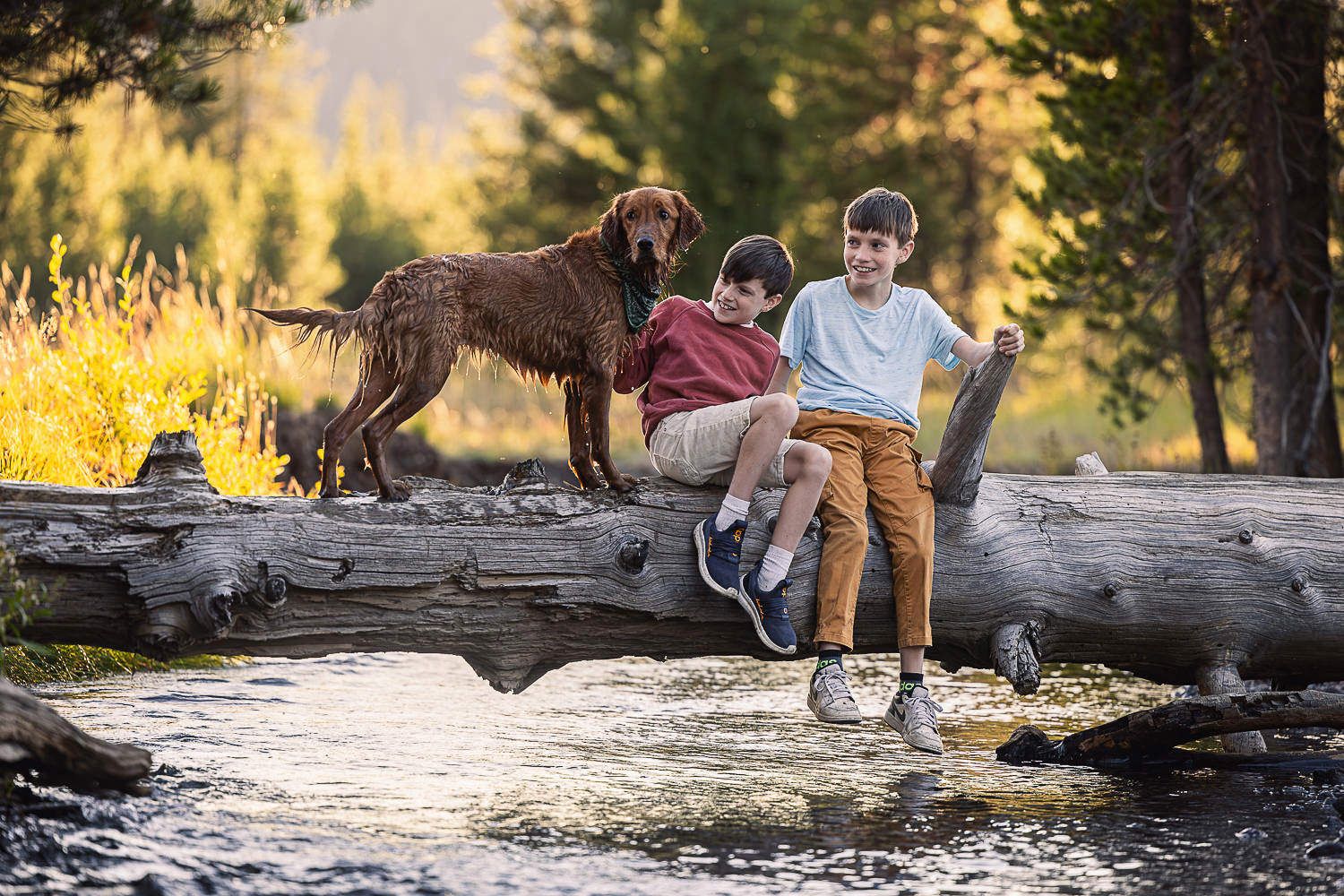 People relax on fallen log over stream in nature with brown dog against golden sunlit background.