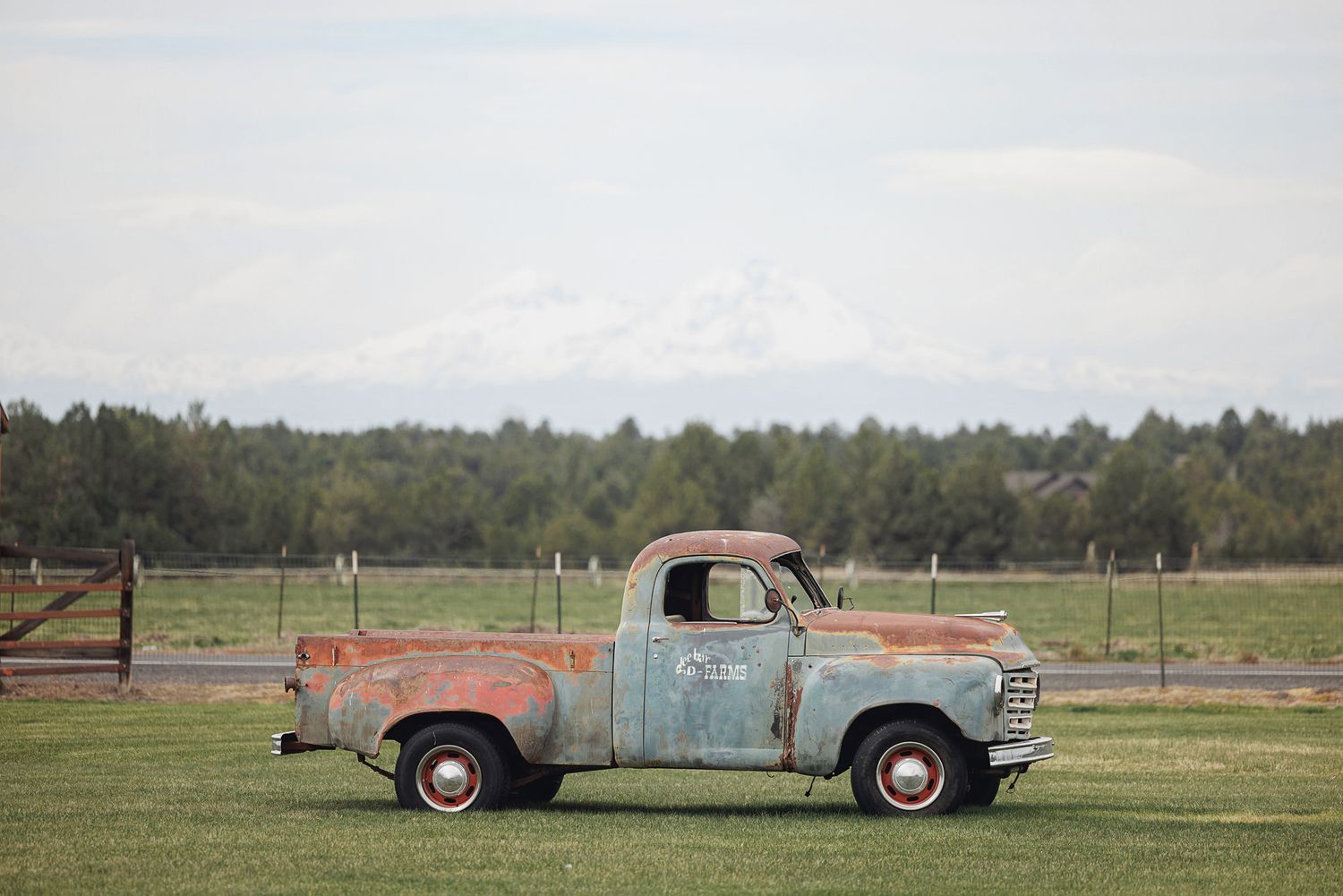 Rusty vintage pickup truck parked on green grass with snow-capped mountain and tree line in background.