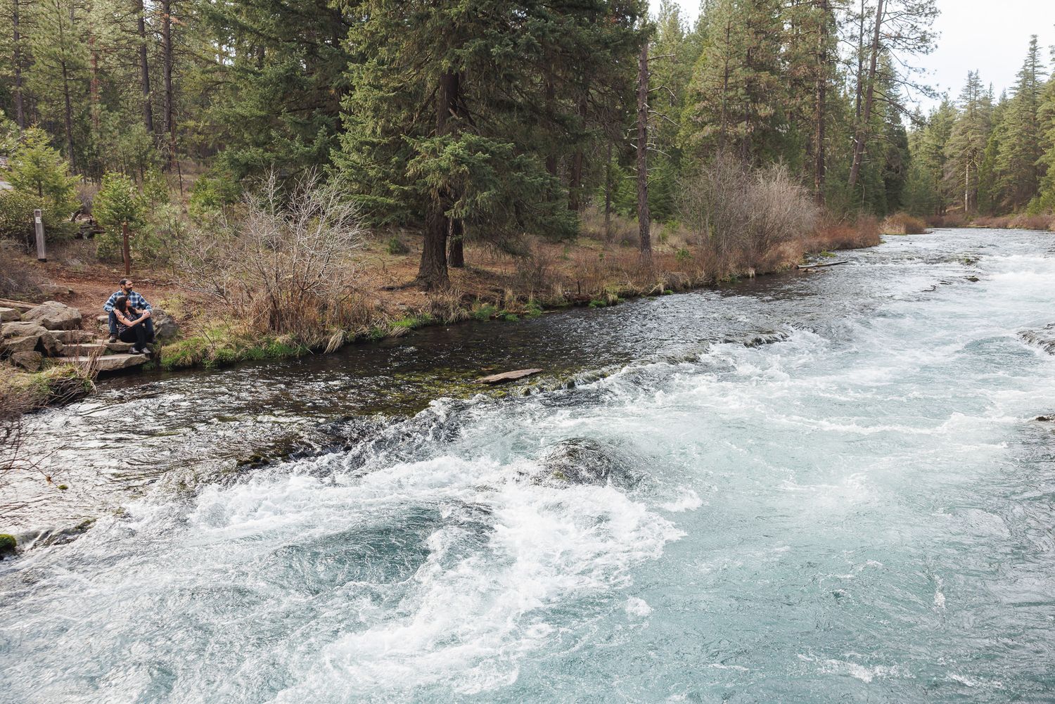 Person sitting beside a rushing turquoise river surrounded by tall pine trees in a scenic forest landscape.