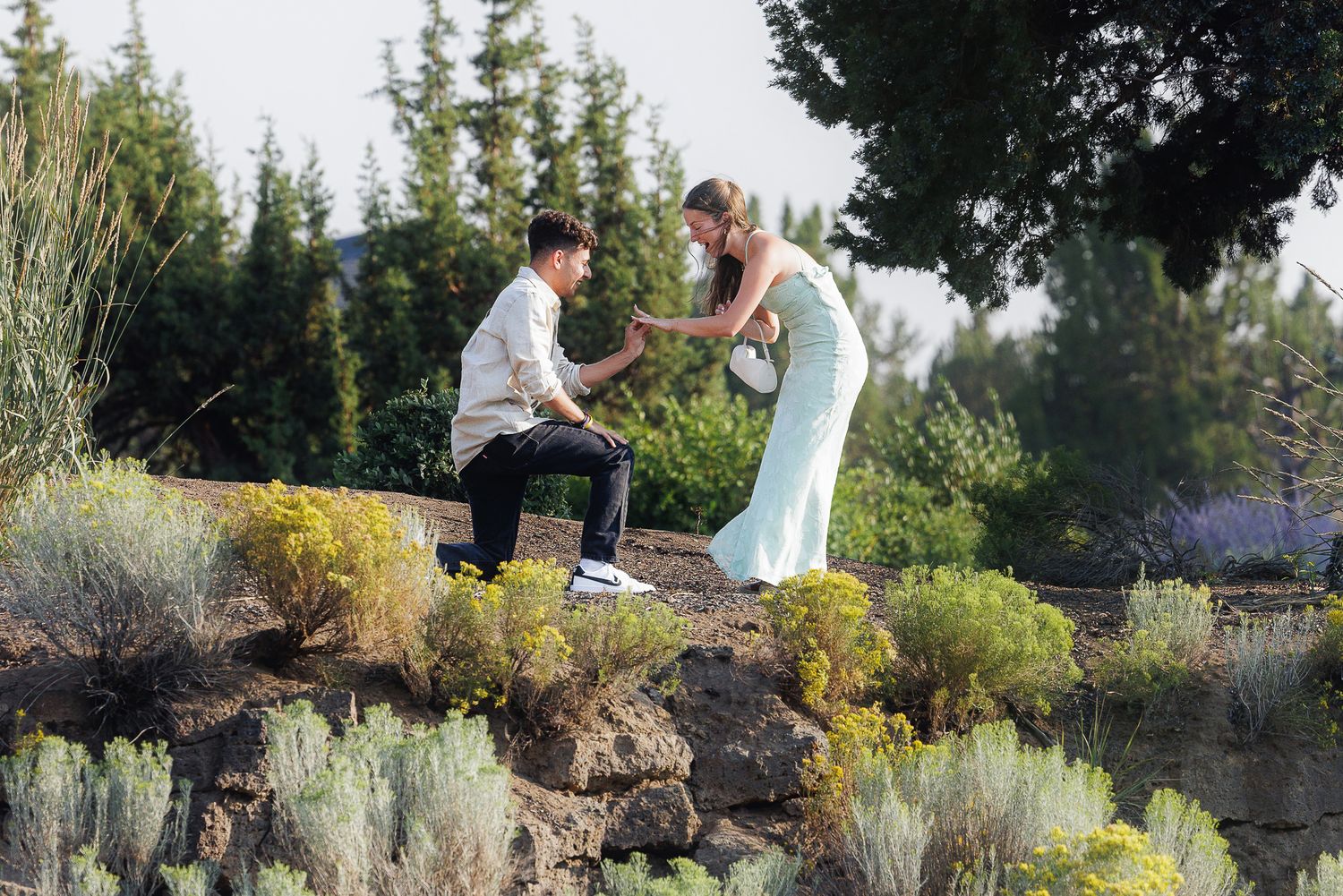 Man proposes on one knee to woman in white dress outdoors among lush greenery and yellow flowers at sunset.