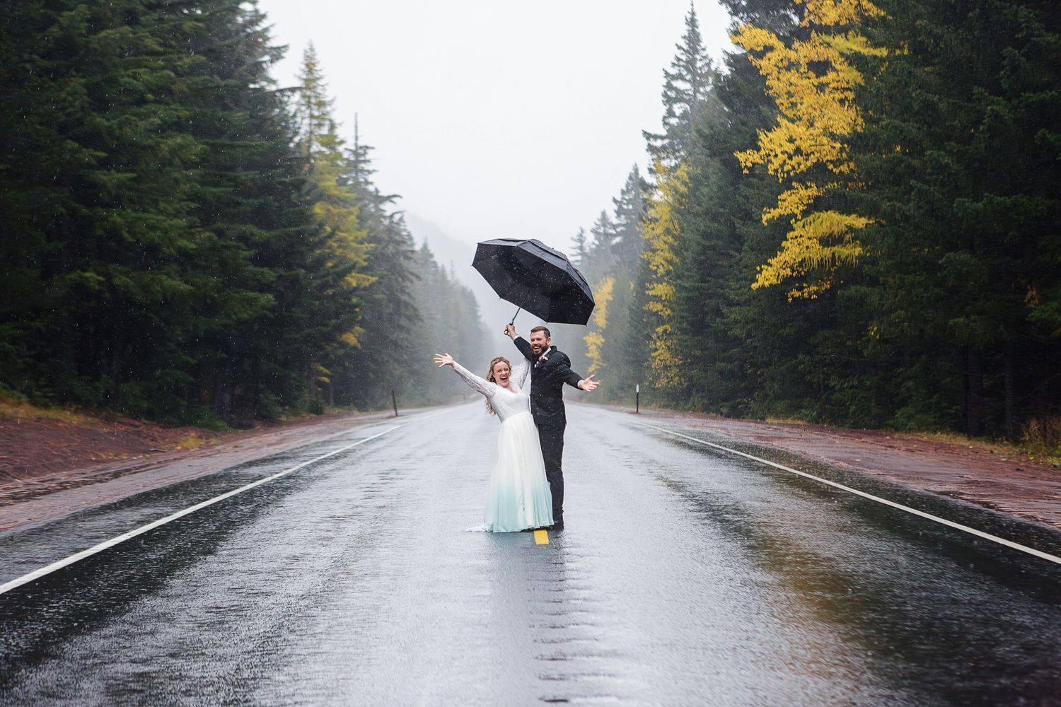 A figure with a black umbrella stands alone on a wet forest road surrounded by evergreen trees and autumn foliage.
