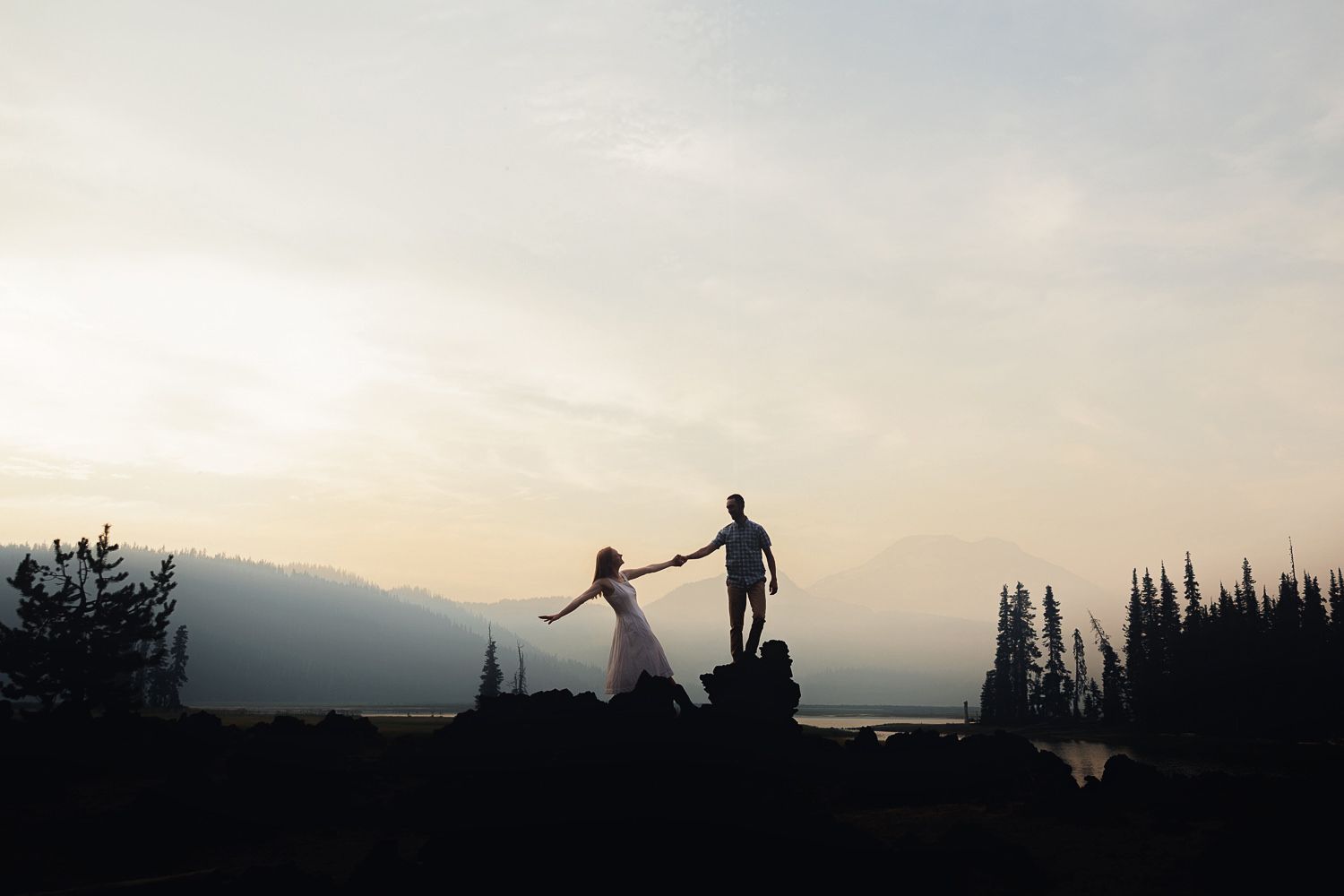 Silhouetted forest skyline at dusk with multiple scenic frames capturing trees and mountain ridges against evening light.