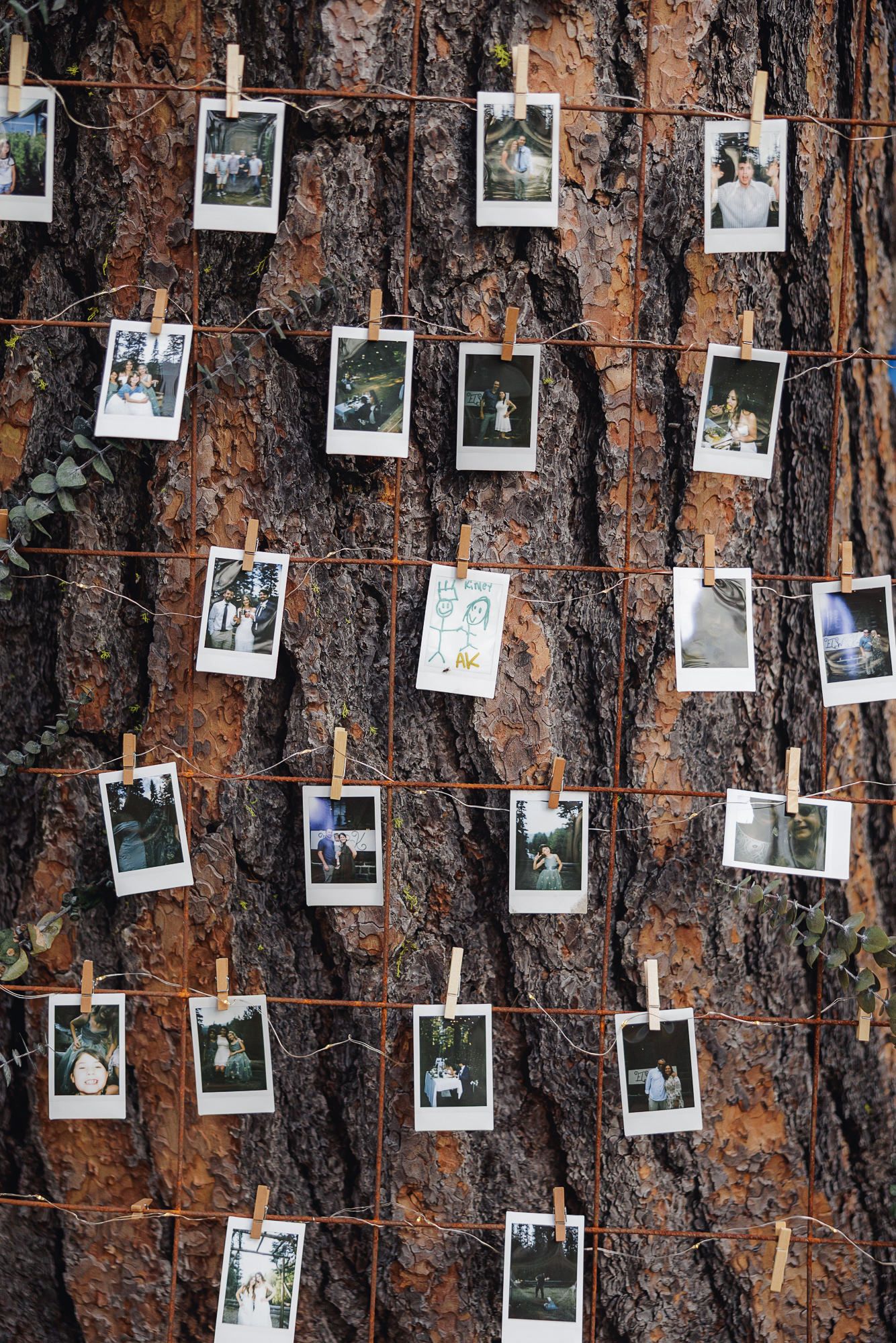 Multiple Polaroid photographs hanging on strings against a rustic brown bark texture background.