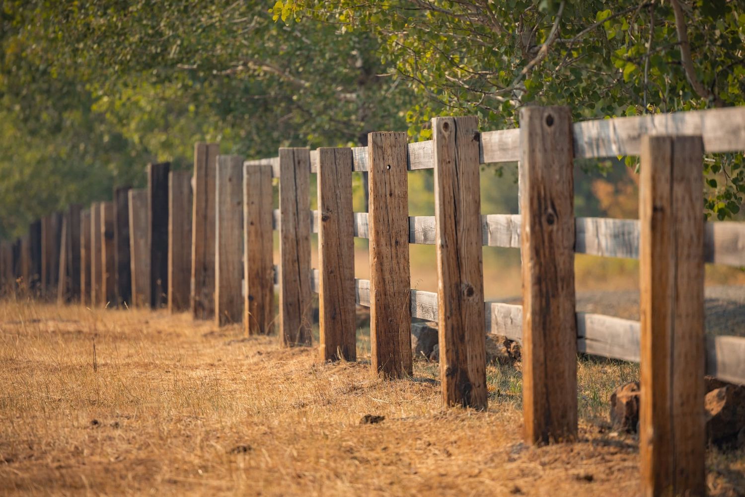 A wooden fence with rustic posts stretches into the distance along a dirt path in golden afternoon light.