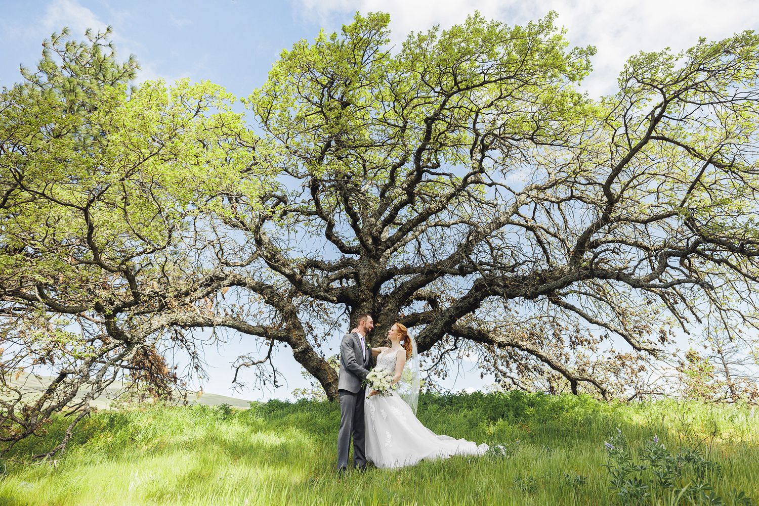 Bride and groom embrace under a sprawling oak tree in a lush green meadow on their wedding day.