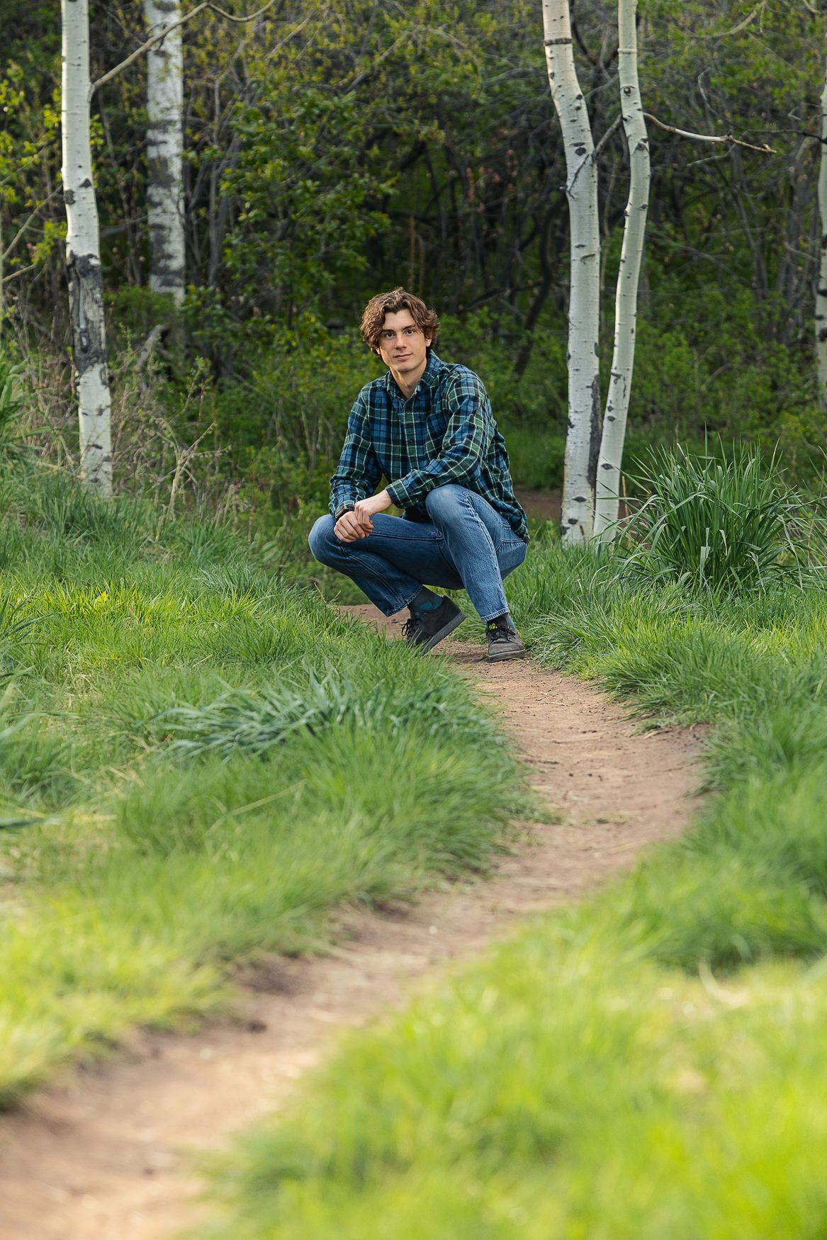 Person in plaid shirt crouches on dirt path surrounded by birch trees and green foliage.