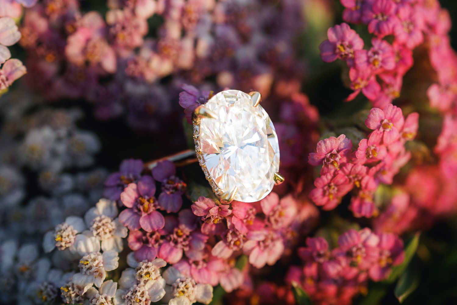 Oval diamond solitaire engagement ring in gold setting displayed among pink and purple wildflowers.