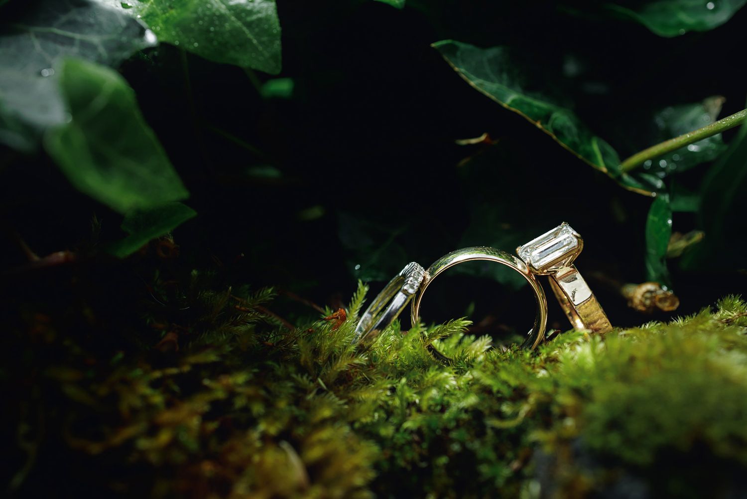 Two elegant wedding rings resting on green moss surrounded by lush leaves in a romantic outdoor nature setting.