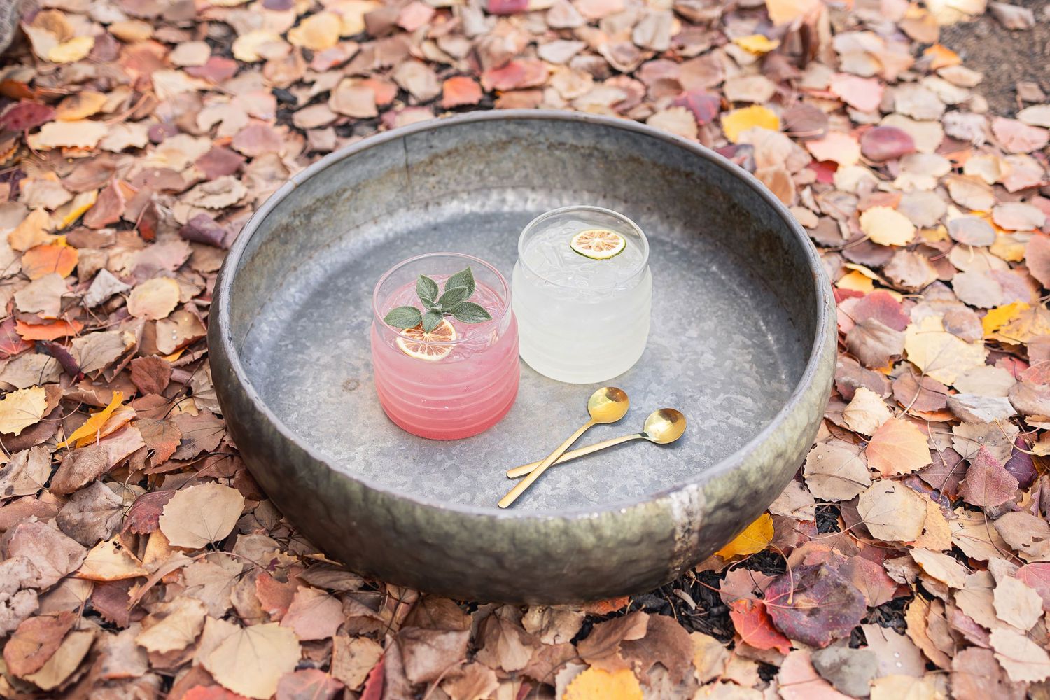 Two colorful cocktails served in a dark stone bowl surrounded by autumn leaves.