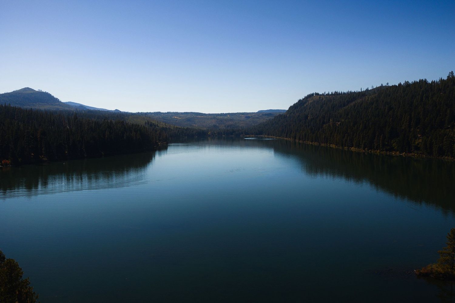 Serene lake surrounded by dense pine forests and mountains under a clear blue sky.