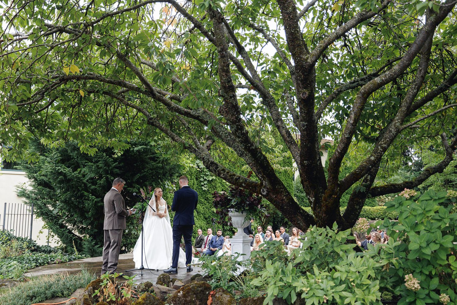 Outdoor wedding ceremony under a large tree with bride and groom exchanging vows before seated guests.