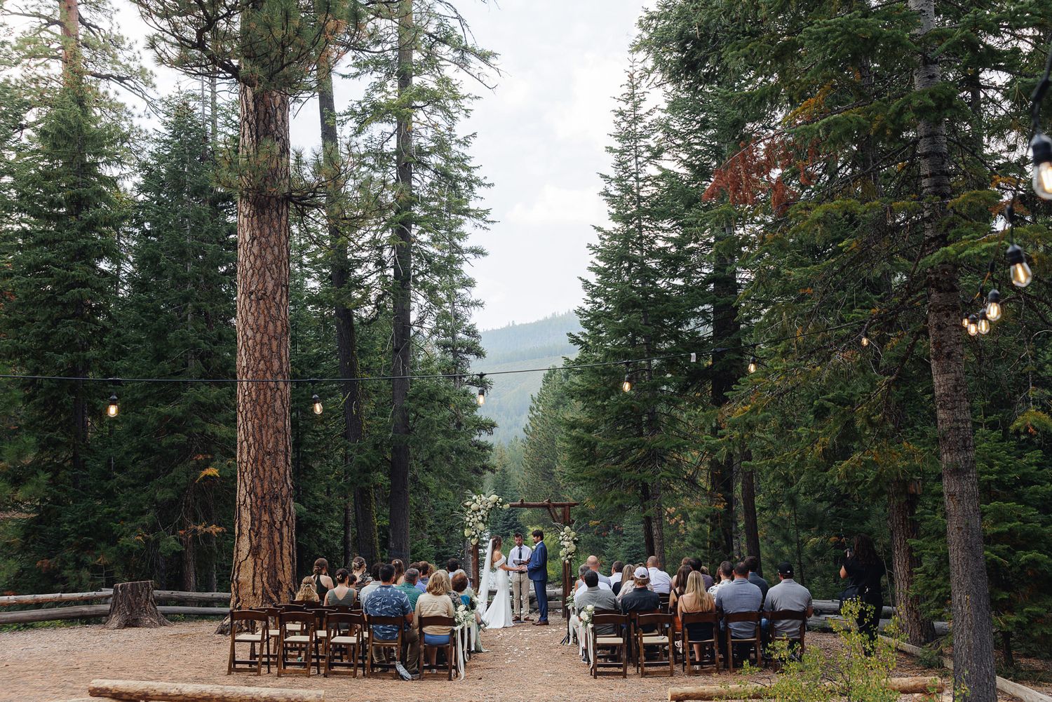 Panoramic view of outdoor dining tables surrounded by tall pine trees at a mountain resort restaurant.