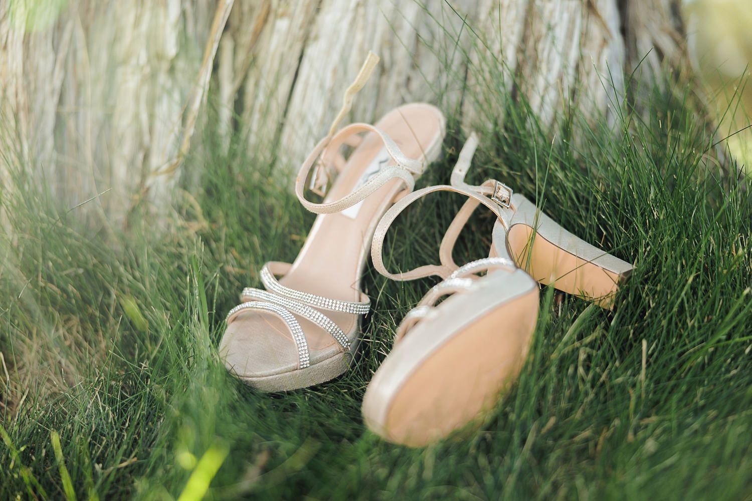 A series of close-up shots showing pink ballet shoes arranged naturally in green grass outdoors.