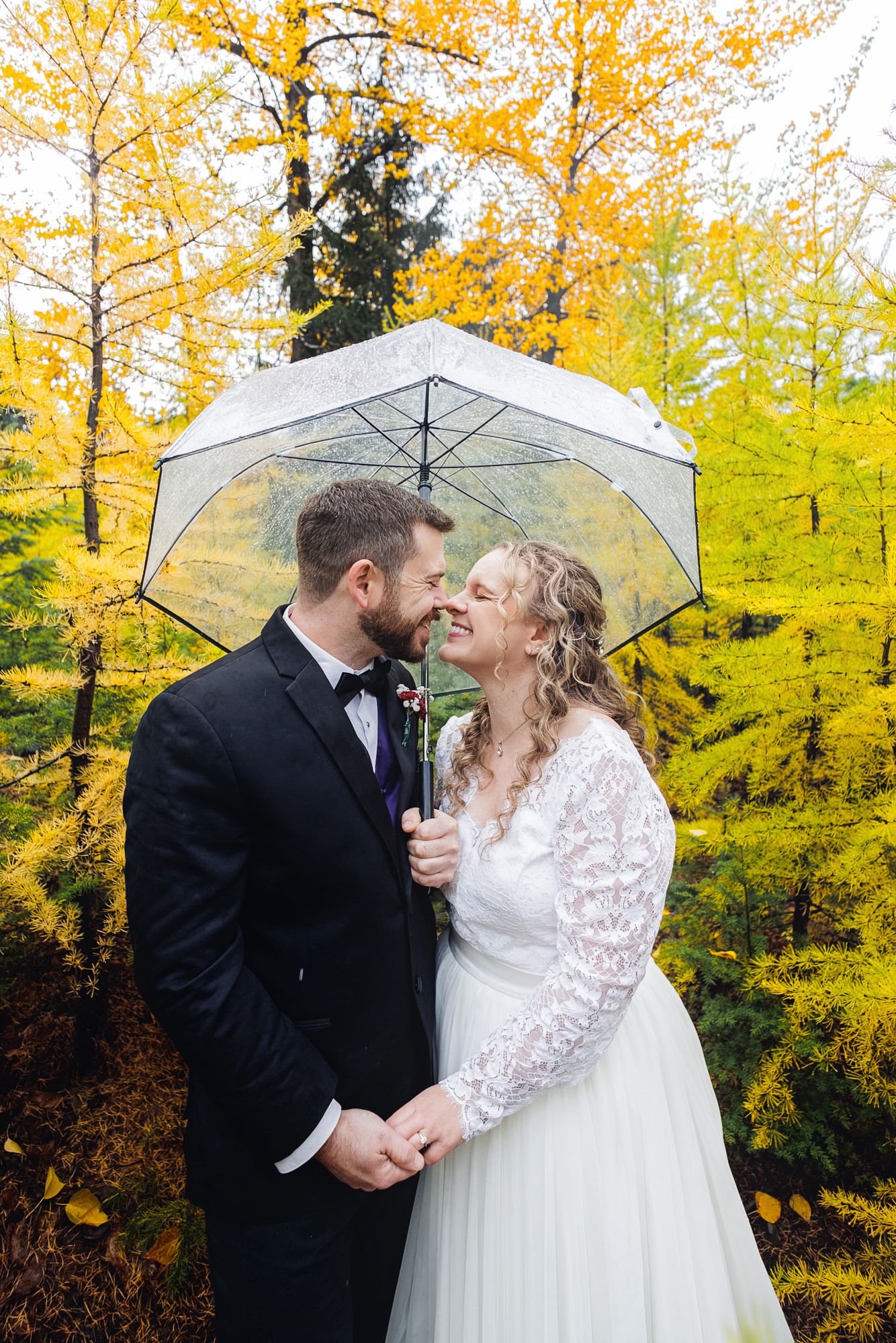A couple shares an intimate moment under a clear umbrella against vibrant yellow autumn foliage.