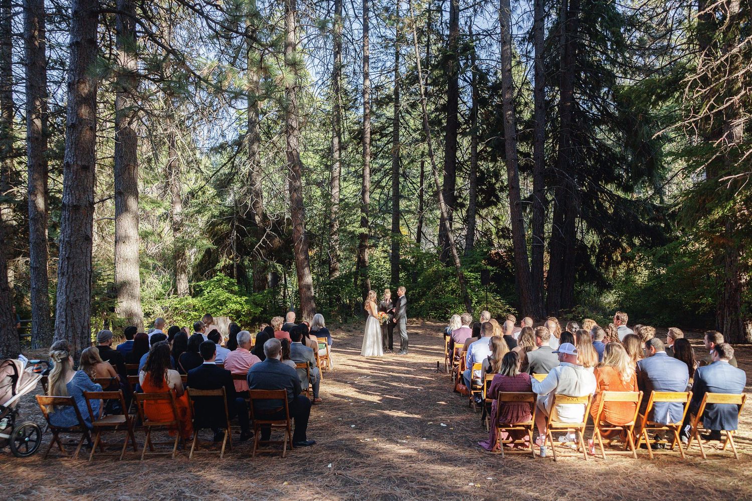 Outdoor wedding ceremony in a sunlit forest with guests seated in wooden chairs facing the couple under tall pine trees.
