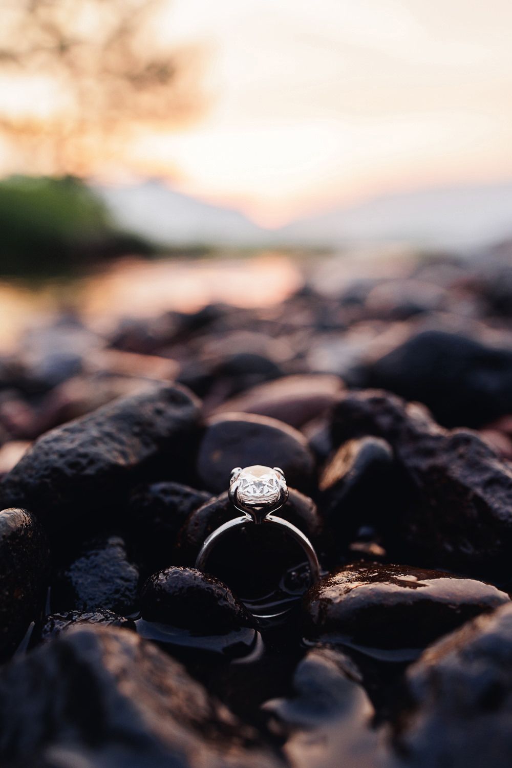A sparkling diamond engagement ring nestled among dark coffee beans at sunset with soft lighting.
