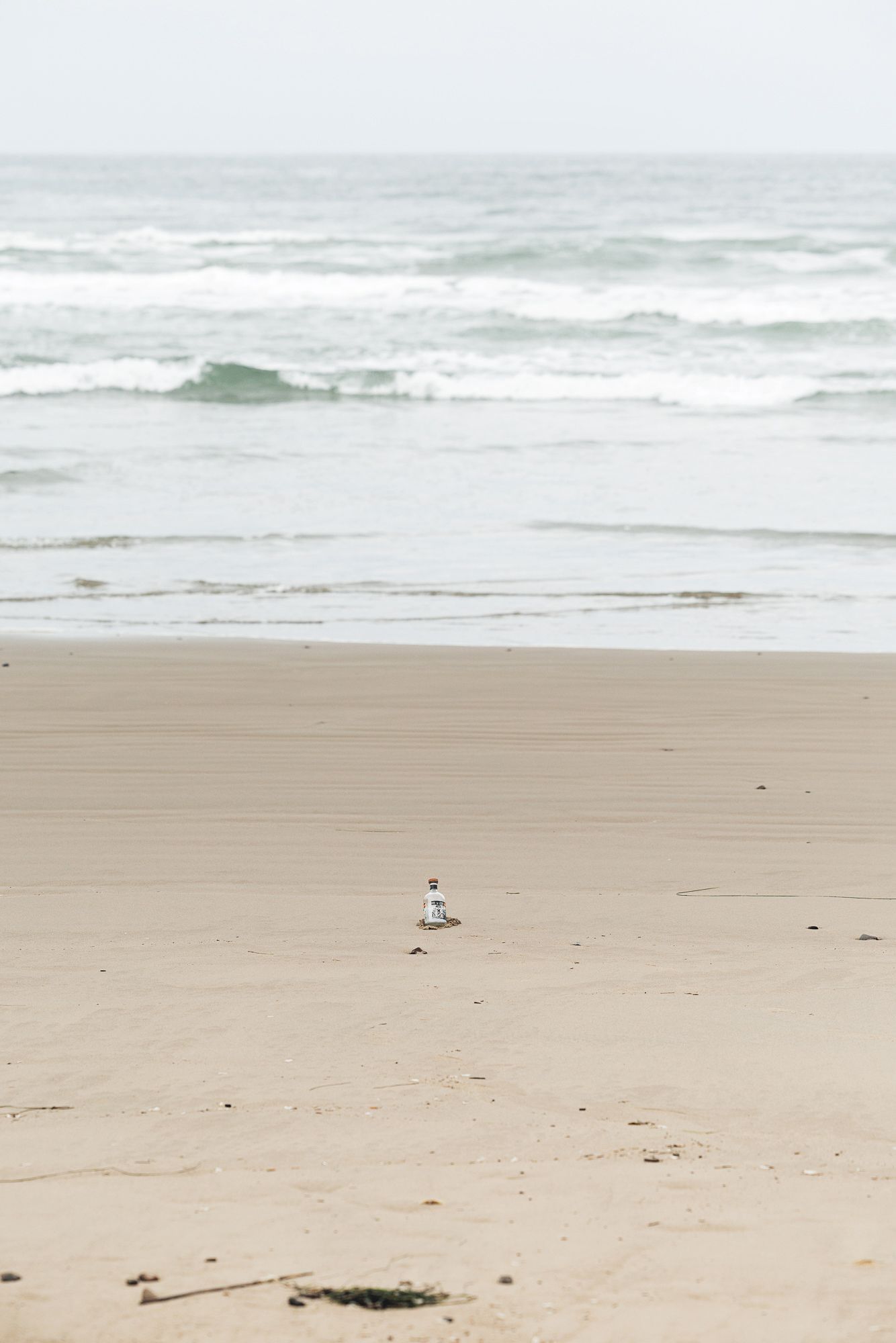 A lone seagull stands on a vast sandy beach with gentle ocean waves rolling in under an overcast sky.