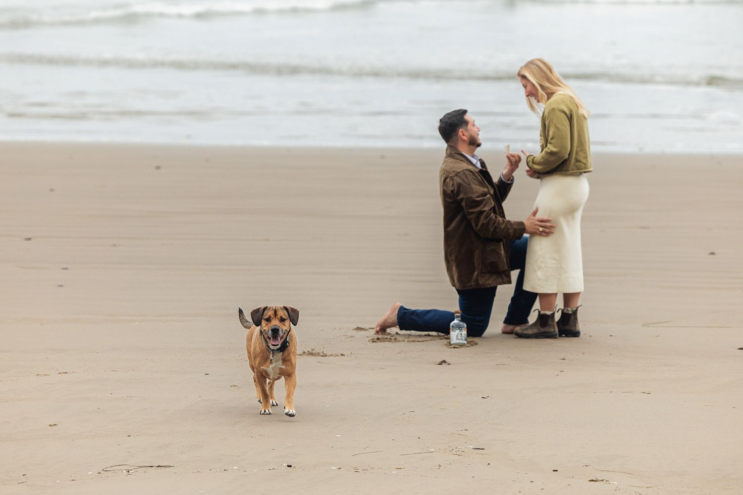 Man proposes to woman on sandy beach while brown dog runs nearby, romantic ocean proposal scene.
