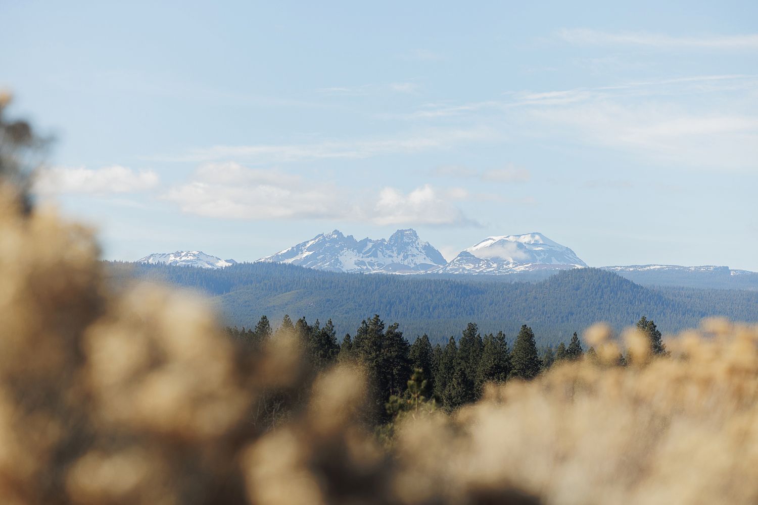 Snow-capped mountain peaks rise majestically against a clear blue sky with evergreen forest in the foreground.