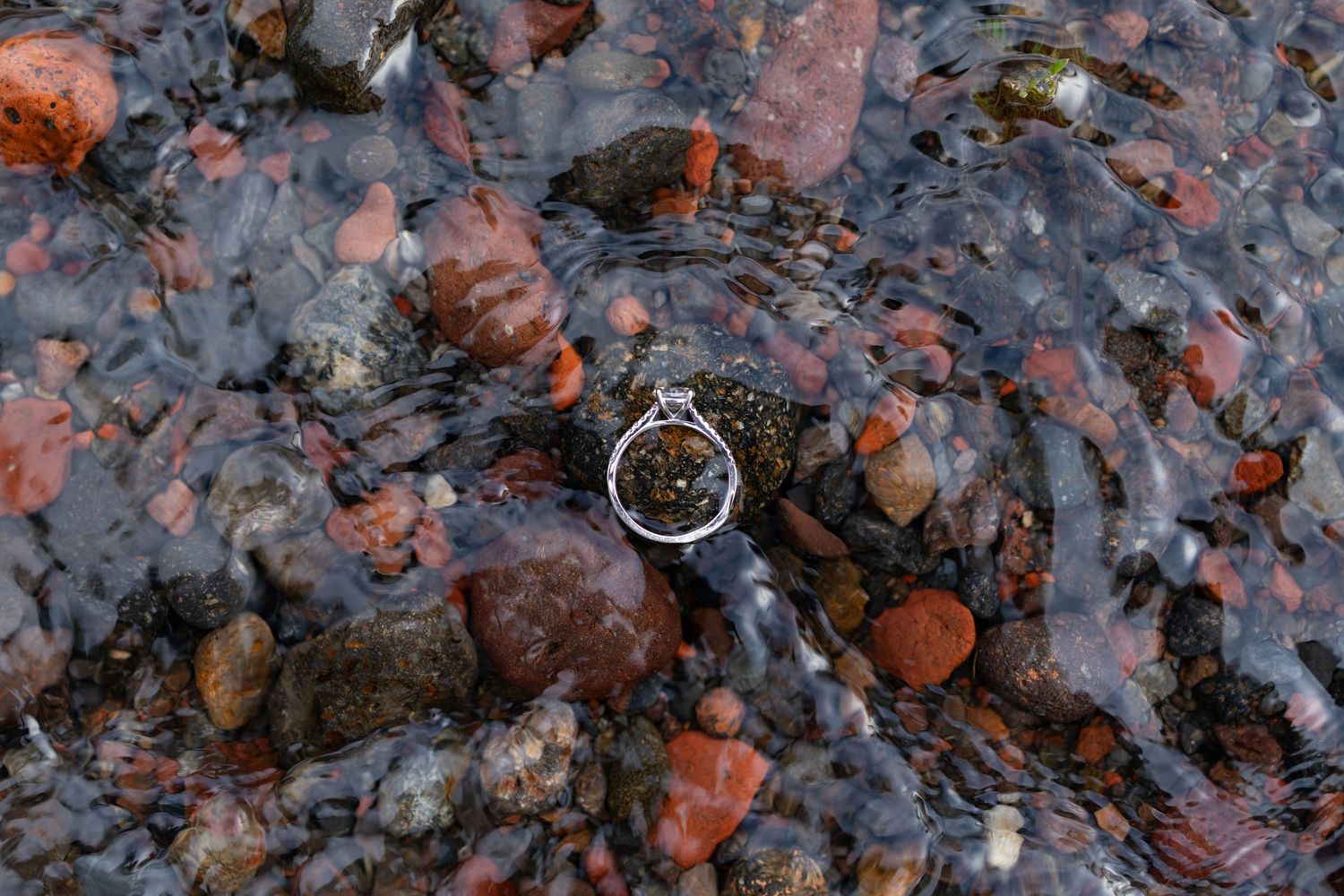 Golden wedding ring resting on pink and brown autumn leaves scattered across the ground with natural sunlight.