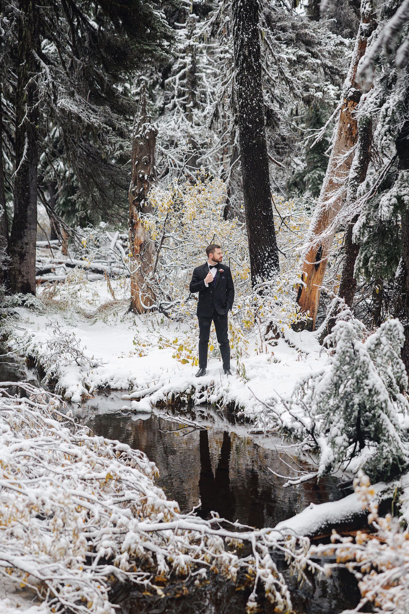 Snow-covered forest landscape with tall evergreen trees and a winding creek below.