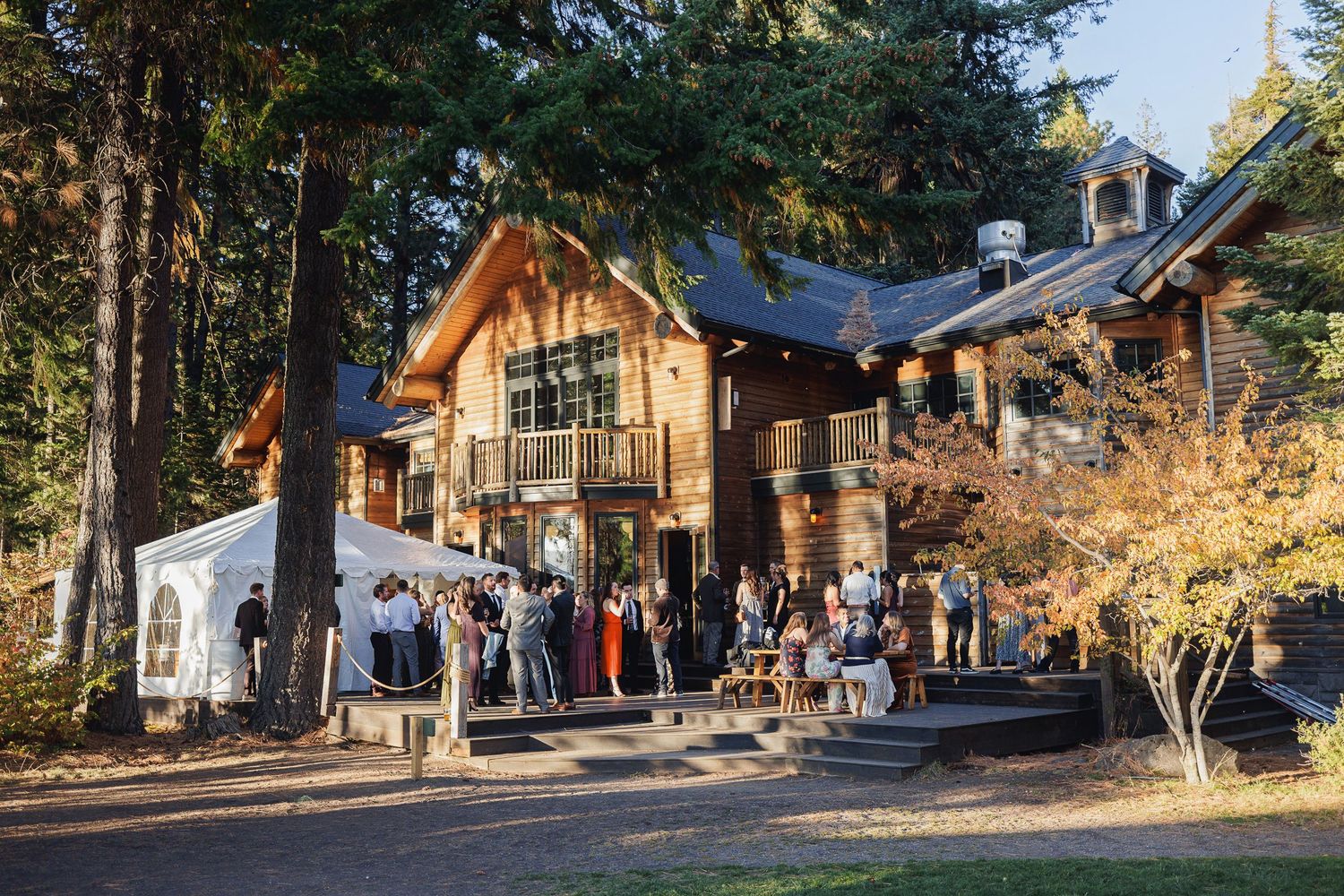 Guests gathering outside a rustic wooden lodge venue surrounded by tall trees during an autumn wedding reception.