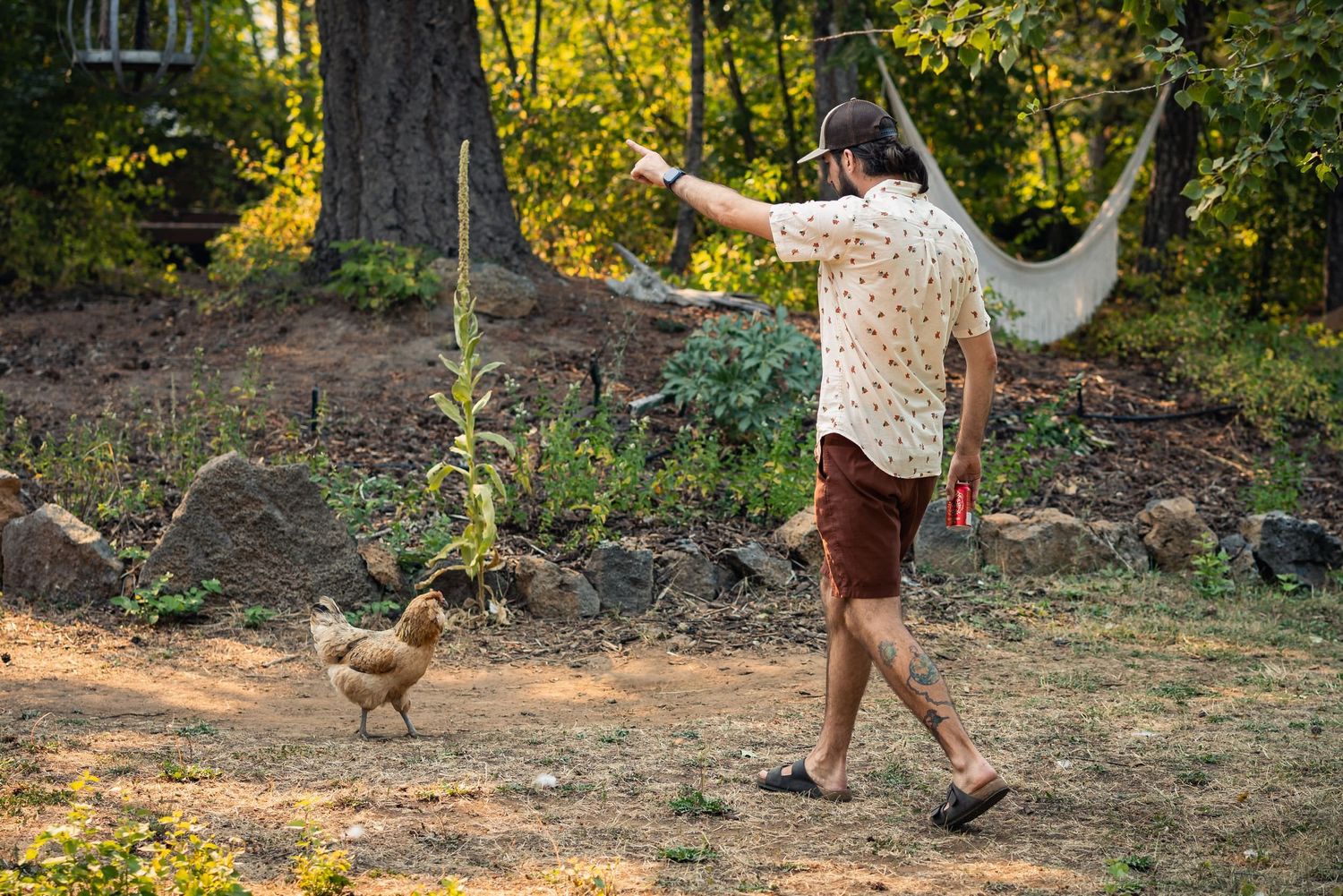 Someone in a polka dot shirt playfully chases a chicken in a sunlit backyard garden setting.