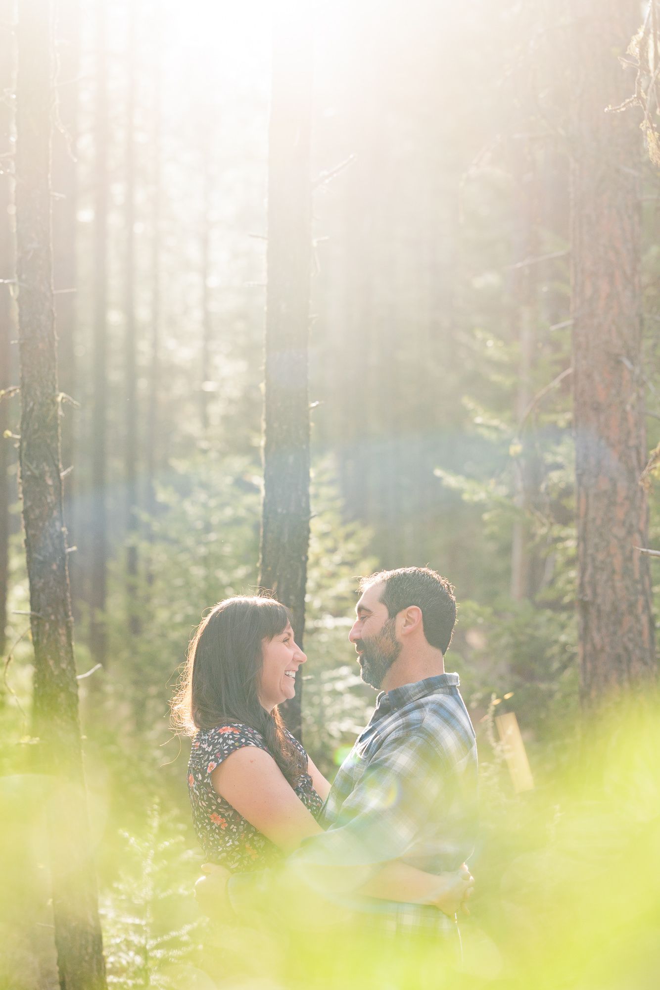 Couple sharing a romantic moment among tall trees in a sunlit forest, surrounded by lush greenery.