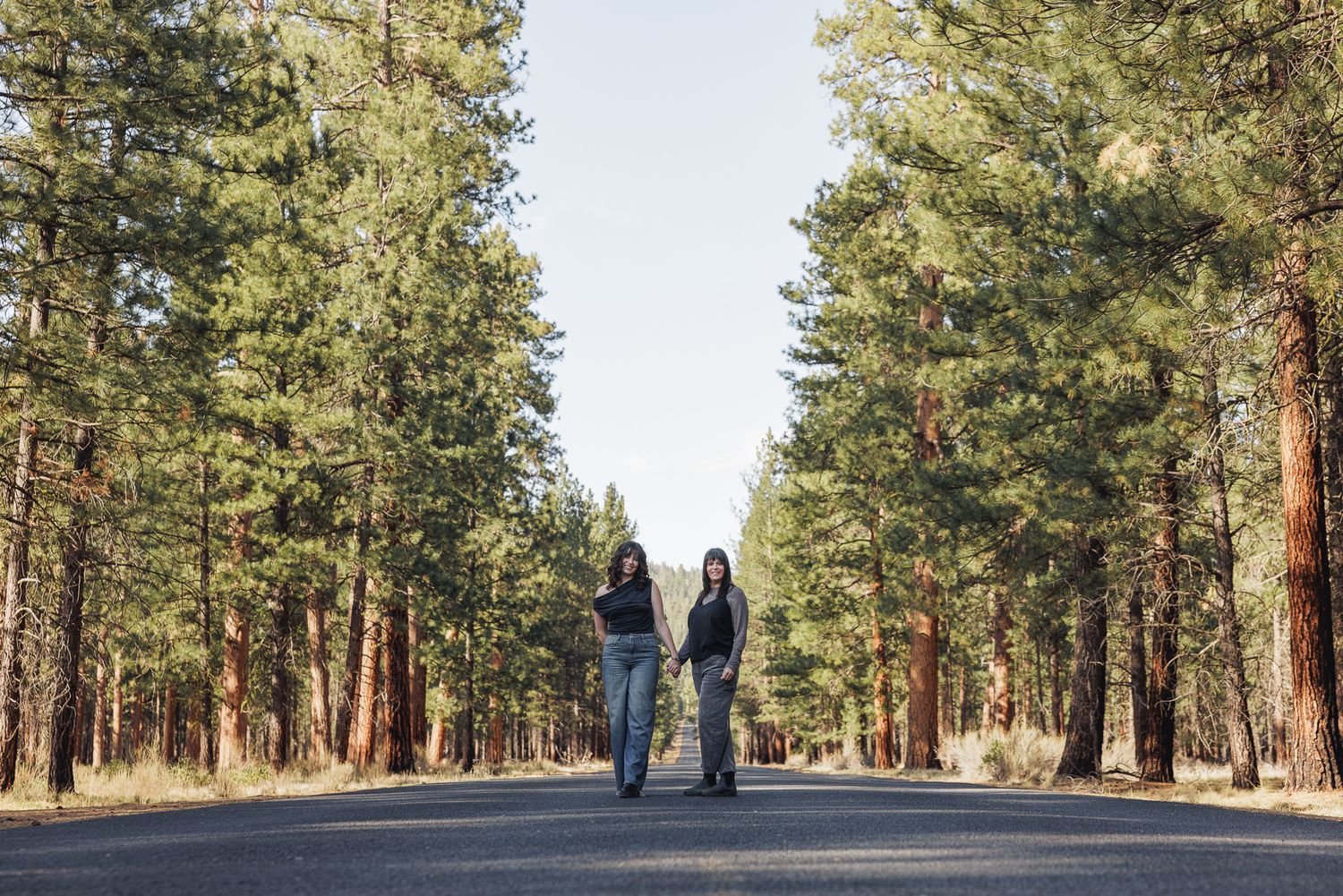 Two people walking hand in hand on a tree-lined road surrounded by tall pine trees.