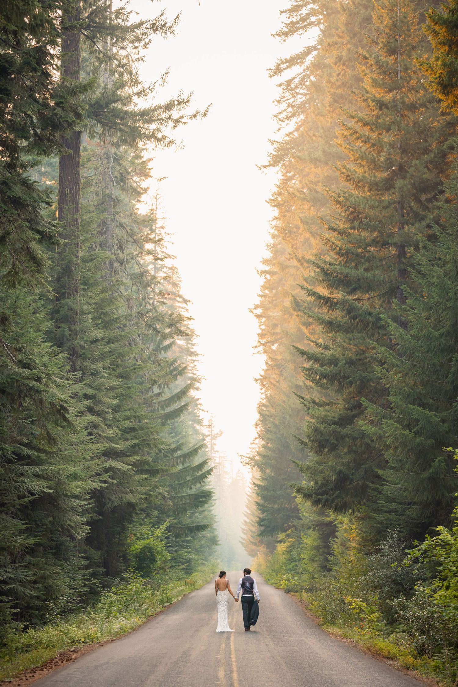 Two people walk down a misty forest road lined with tall evergreen trees during golden hour.