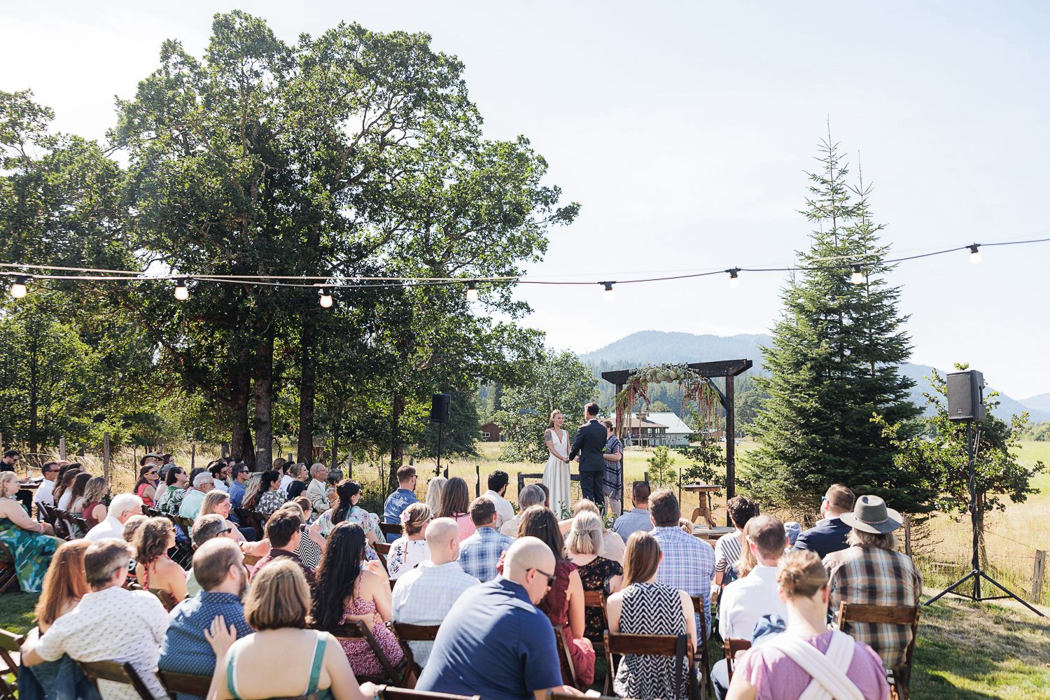 A crowd gathers outdoors at a scenic summer wedding ceremony with evergreen trees in the background.
