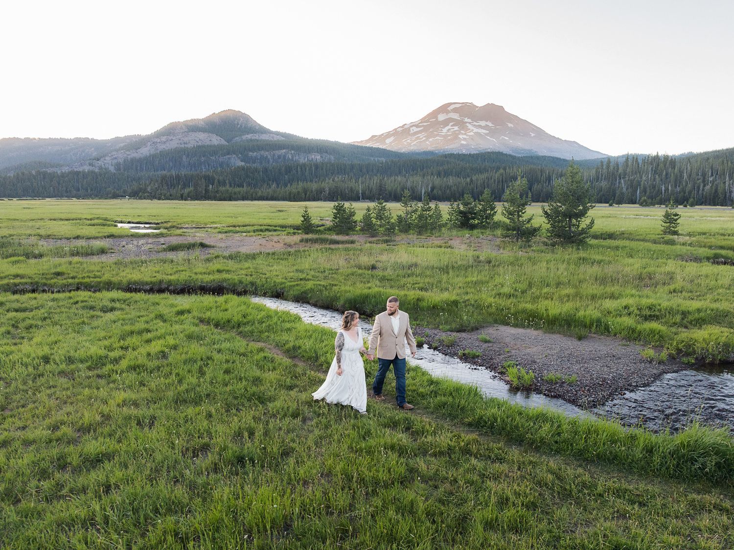 A panoramic view of rolling green meadows with winding streams and distant mountains in Yellowstone National Park.
