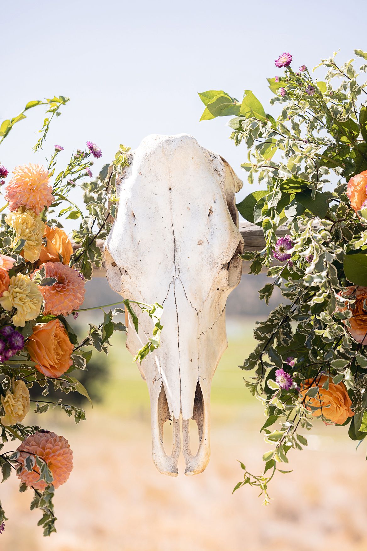 White animal skull decorated with colorful flowers and foliage.