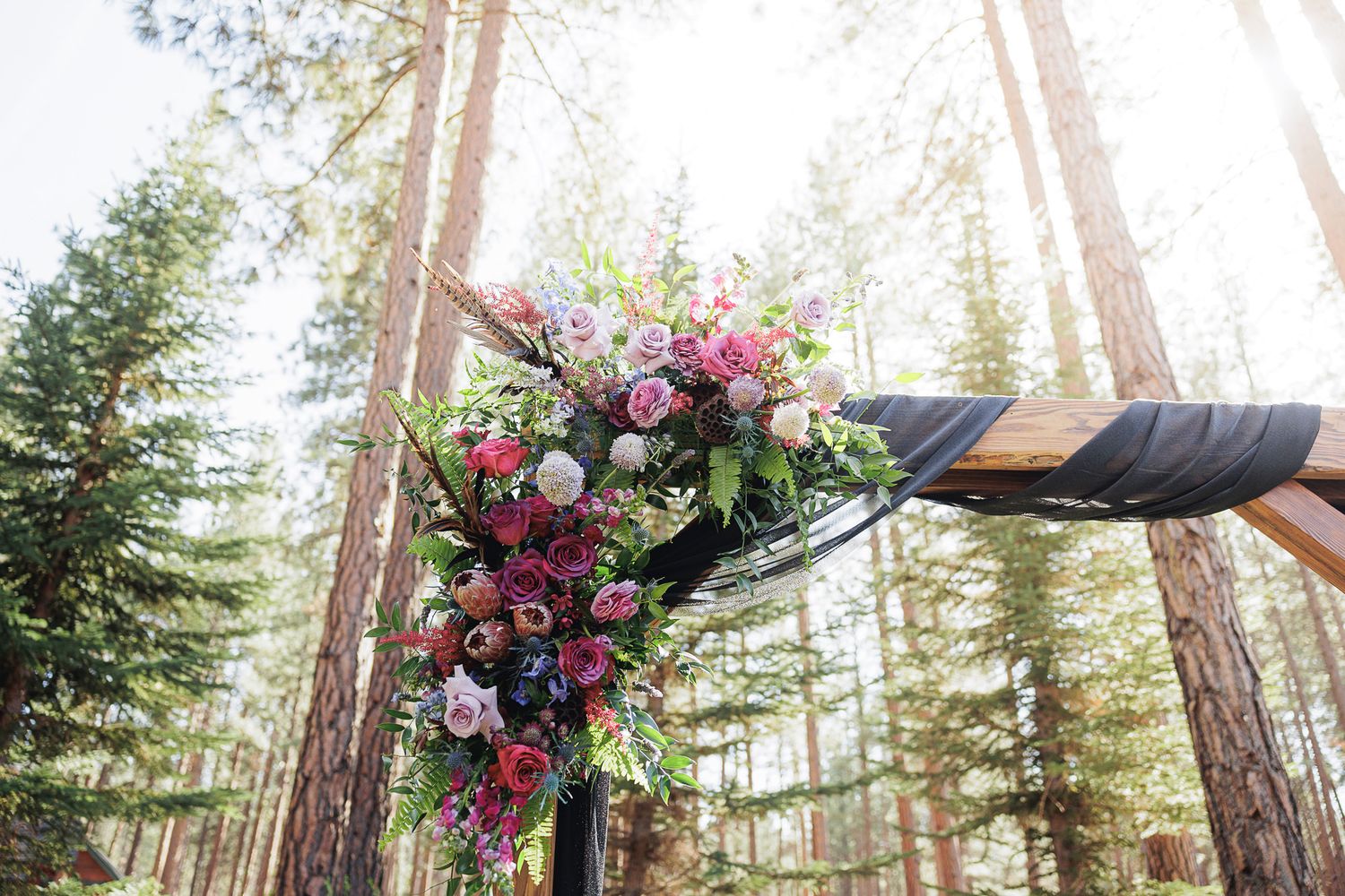 Floral wedding arch adorned with pink and burgundy roses surrounded by tall pine trees in a forest setting.